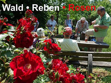 Gaestewanderwoche_Doerrenbach_Fotos-Hermes_136KB